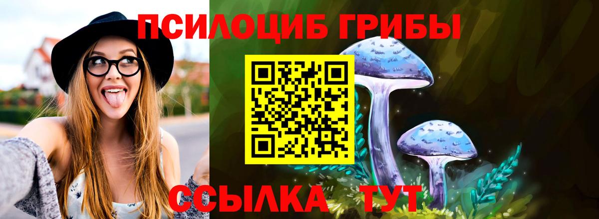 Псилоцибиновые грибы GOLDEN TEACHER  Вход с VPN  Отрадный 